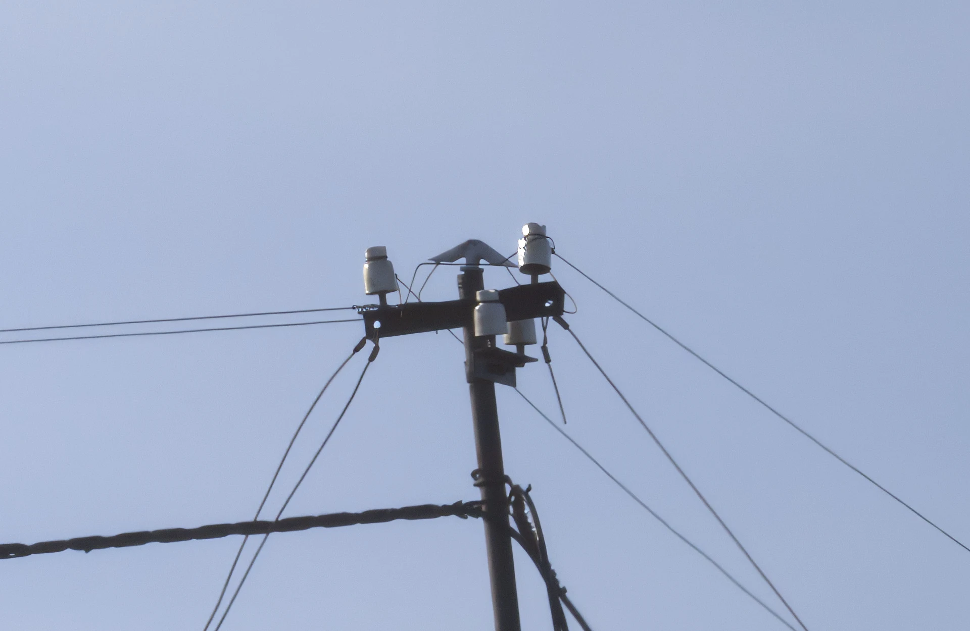 Power-line insulators photographed from 300 metres
